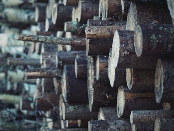 Full frame shot of firewood