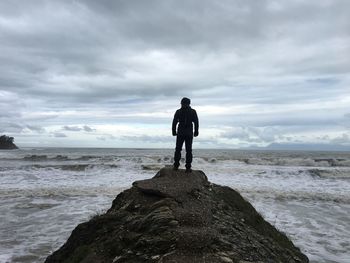 Rear view of man standing on beach