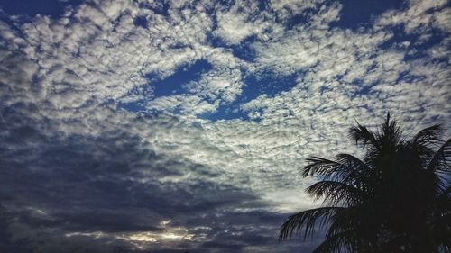 Low angle view of silhouette trees against sky