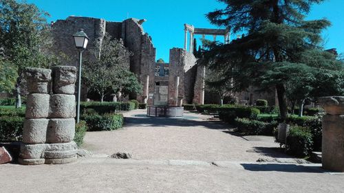 Plants growing on old temple against sky