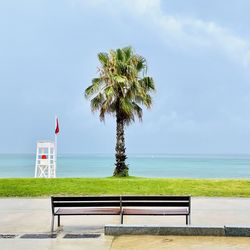 Palm trees on bench by sea against sky