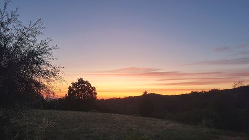 Silhouette trees on field against sky during sunset