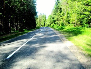 Empty road along trees