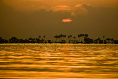 Scenic view of sea at sunset