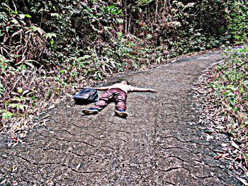 High angle view of shoes on footpath in forest