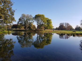 Reflection of trees in lake against sky