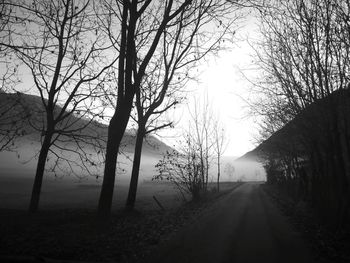 Road amidst bare trees against sky