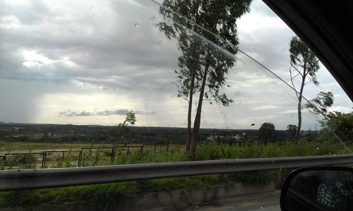 Road by trees against sky