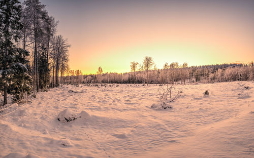 Scenic view of snow covered field against sky during sunset