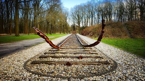 Surface level of railroad track along trees
