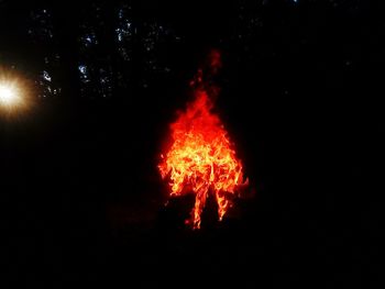 Silhouette bonfire against trees at night