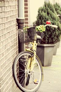 Bicycle on flower