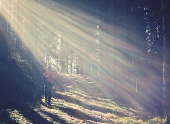 Woman standing by trees in forest