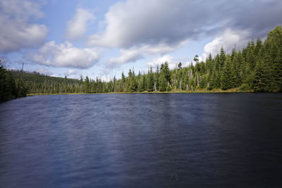 Scenic view of lake in forest against sky