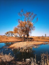 Calm lake against clear blue sky