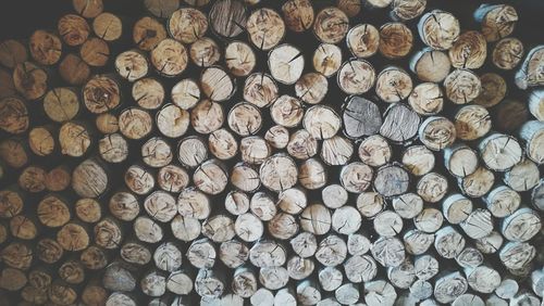 Full frame shot of logs