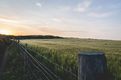 Scenic view of field against cloudy sky