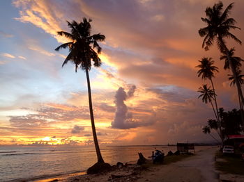 Silhouette palm trees on beach against sky during sunset