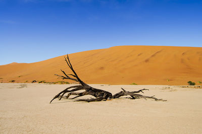 Scenic view of desert against clear blue sky