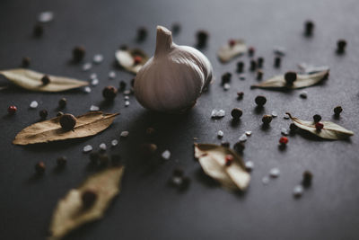 Close-up of spices on table