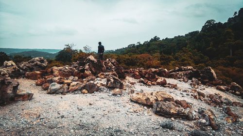 Rear view of man standing on rock