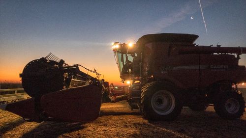 People working on agricultural field against sky during sunset