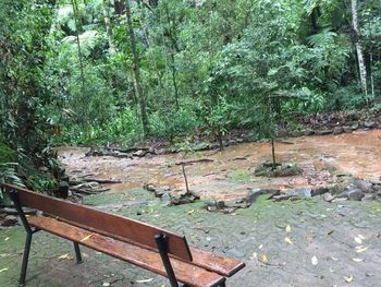 Empty bench in park