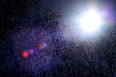 Low angle view of silhouette trees against sky during sunset