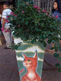 Portrait of cat by plant