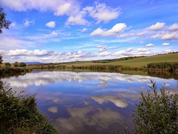 Reflection of trees in calm lake