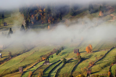 Scenic view of agricultural field during autumn