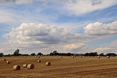Hay bales on landscape against the sky