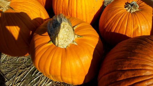 Close-up of pumpkin on pumpkins during halloween