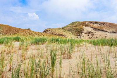 Scenic view of land against sky