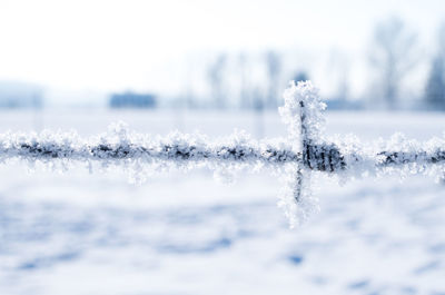 Close-up of frost on land against sky