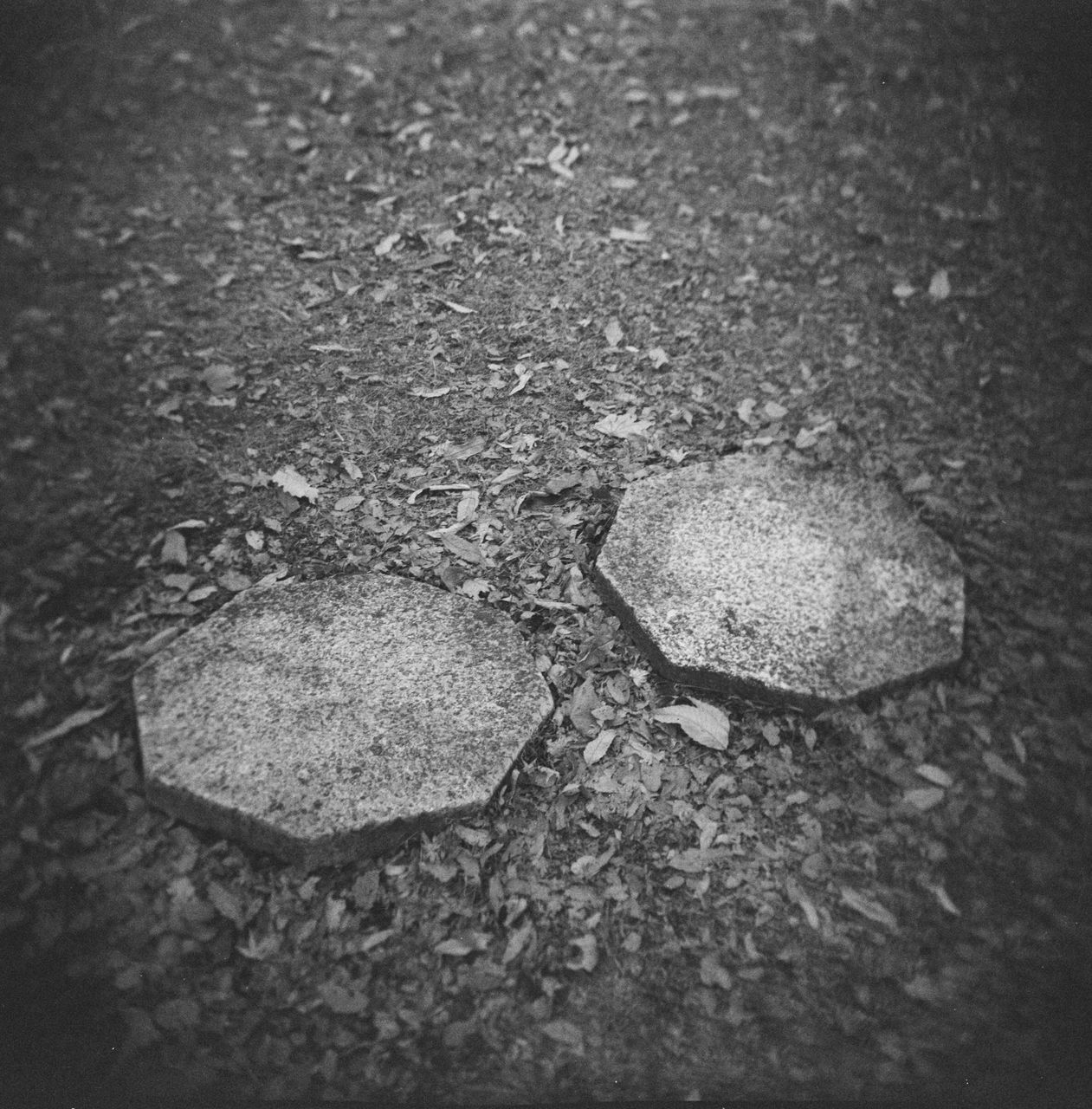 CLOSE-UP OF STONES ON FIELD