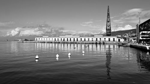 Seagulls on wooden post in water against cloudy sky