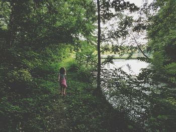 Rear view of man walking by lake