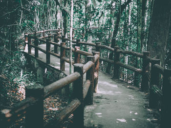 View of wooden fence in forest