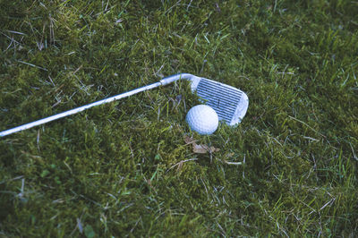 High angle view of golf club and golf ball on grass