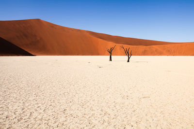 Scenic view of desert against clear blue sky