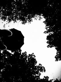 Low angle view of trees against sky