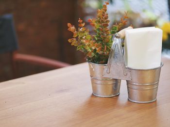 Close-up of flower plant on table