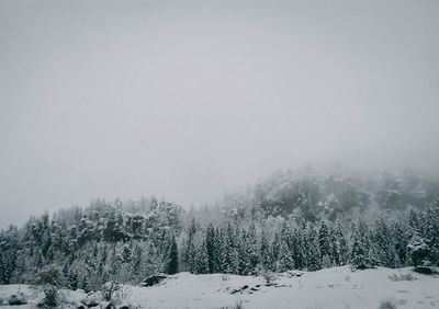 Snow covered land and trees against sky