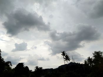 Low angle view of silhouette trees against sky