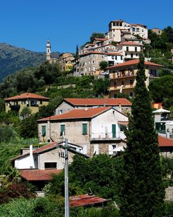 Buildings in city