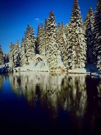 Reflection of trees on water against sky