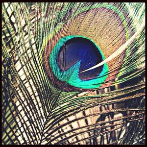 Full frame shot of tiled floor