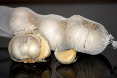 Close-up of seashell