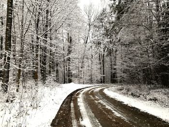 Snow covered road amidst bare trees in forest